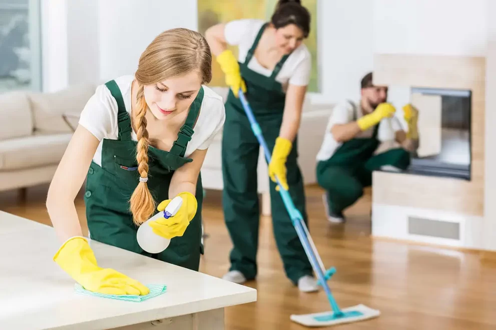 green cleaning services in Los Angeles