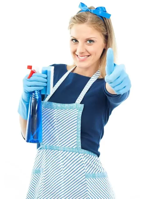 residential green cleaning services in Los Angeles